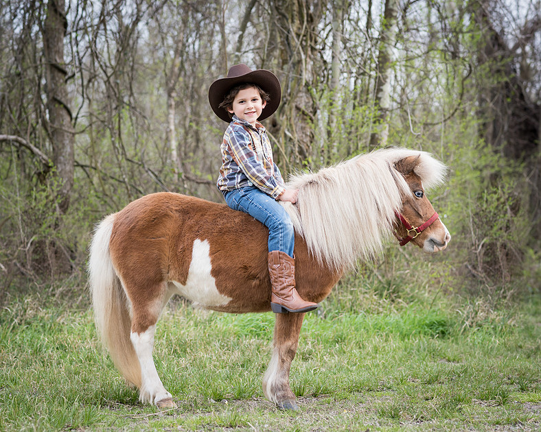 Mini Horses Rodeo Shochat Photography | Rodeo minis 2015